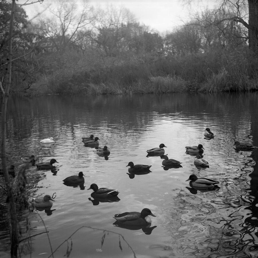 Christel - installation